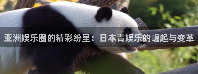 星空娱乐官网：亚洲娱乐圈的精彩纷呈：日本青娱乐的崛起与变革