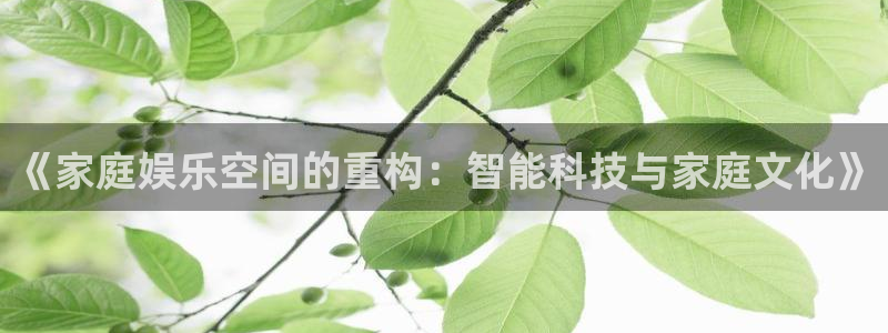 下载星空娱乐：《家庭娱乐空间的重构：智能科技与家庭文化》