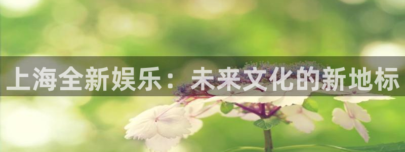 星空娱乐游戏：上海全新娱乐：未来文化的新地标