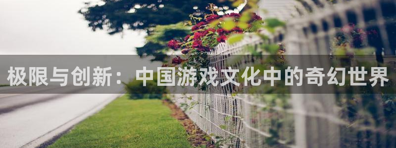 星空娱乐app下载安装：极限与创新：中国游戏文化中的奇幻世界