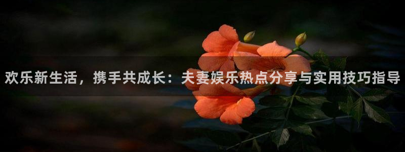 星空娱乐93299：欢乐新生活，携手共成长：夫妻娱乐热点分享与实用技巧指导